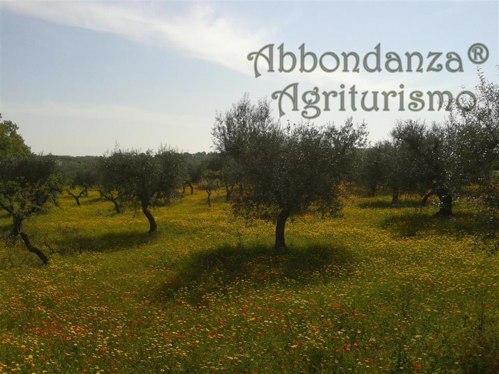Agriturismo Abbondanza Villa Alberobello Exterior foto